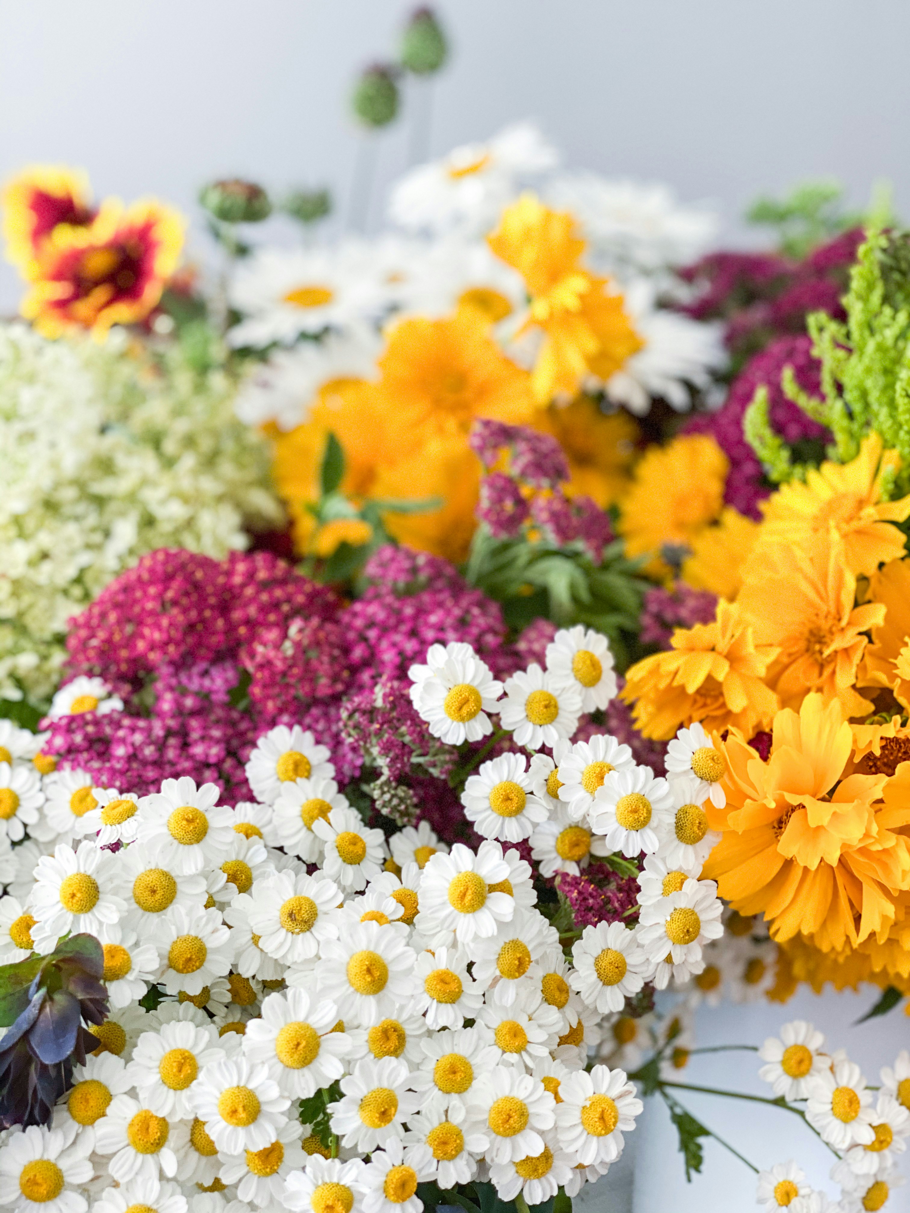 yellow and pink flowers on white table